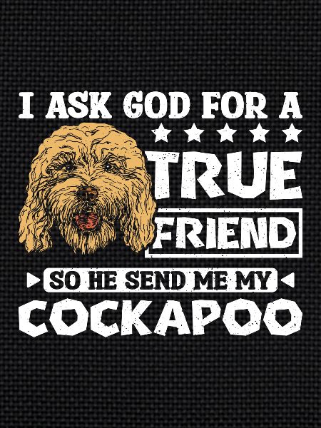 Dieu m’envoie mon cockapoo