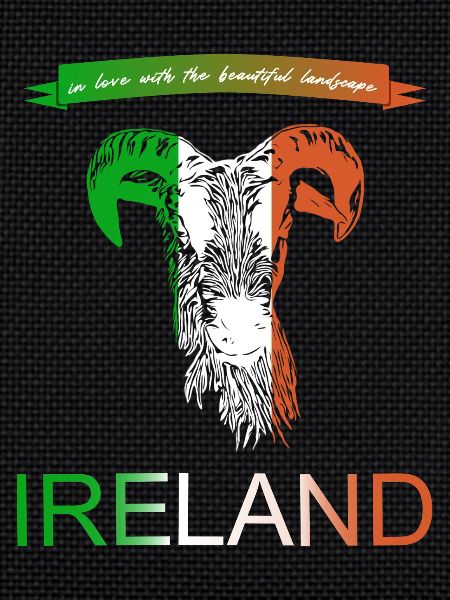 Ireland Ireland sheep