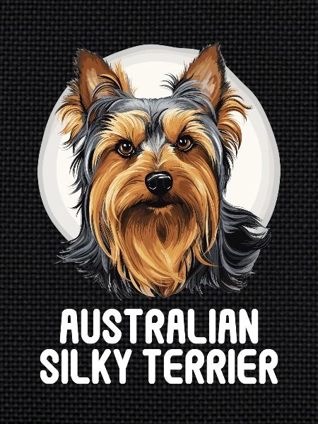 Australian Silky Terrier