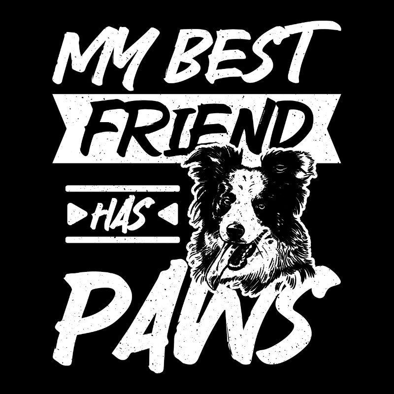 My best friend has paws border collie
