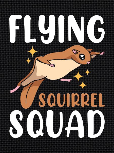Flying Squirrel Squad