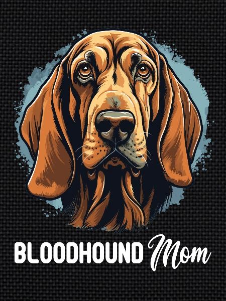 Dog Bloodhound