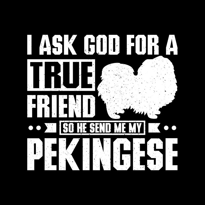 God send me a true friend my pekingese
