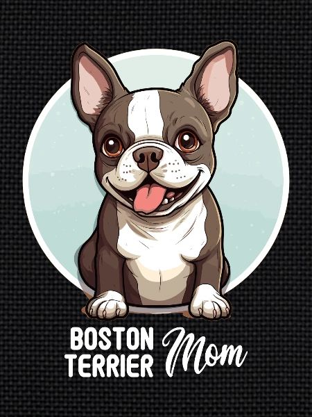 Dog Boston Terrier