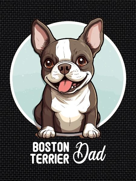 Dog Boston Terrier