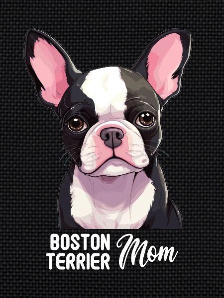 Dog Boston Terrier