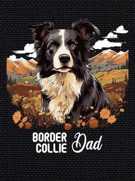 Dog Border Collie