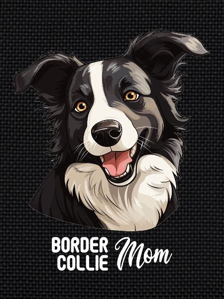 Chien Border Collie