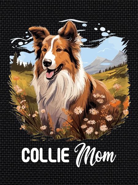 Dog Collie
