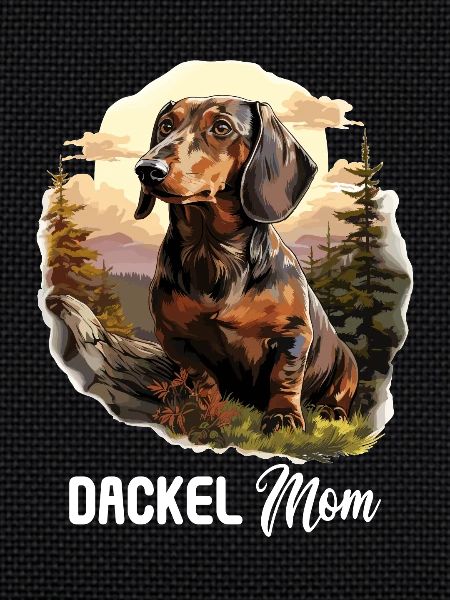 Chien teckel