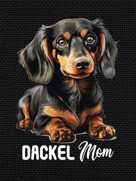 Chien teckel