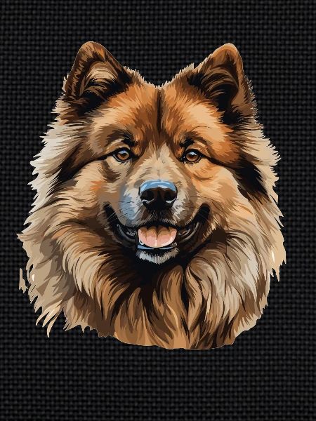 Dog Eurasier