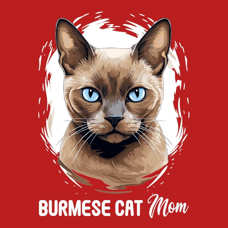 Chat birman Birmanie Katze