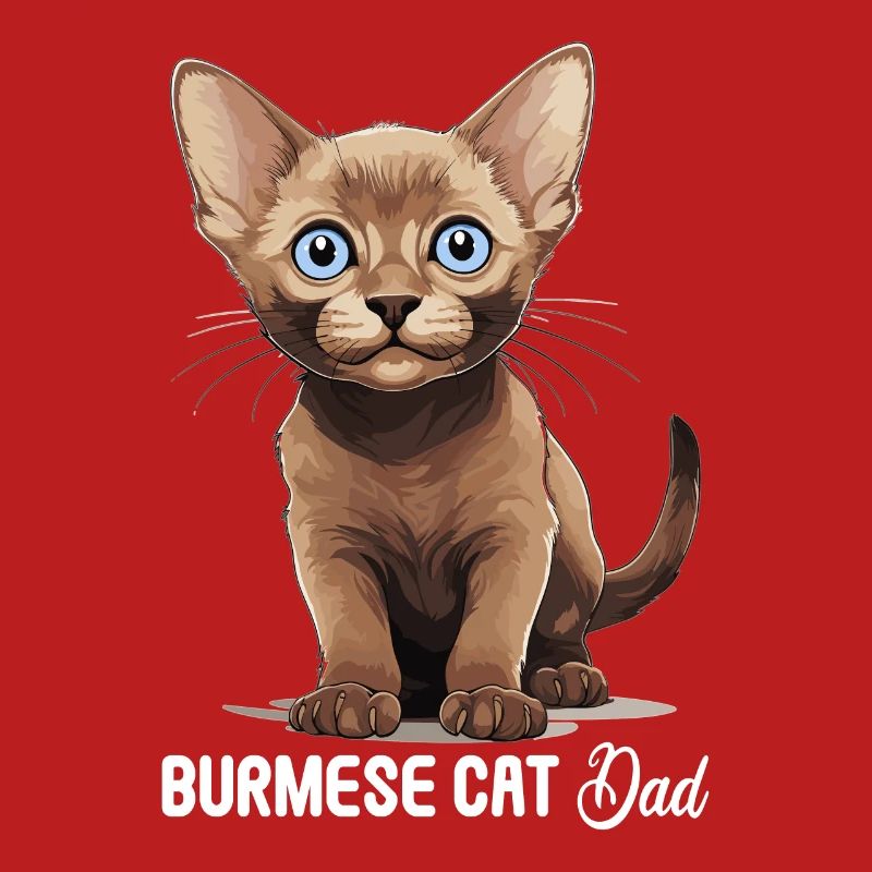Chat birman Birmanie Katze