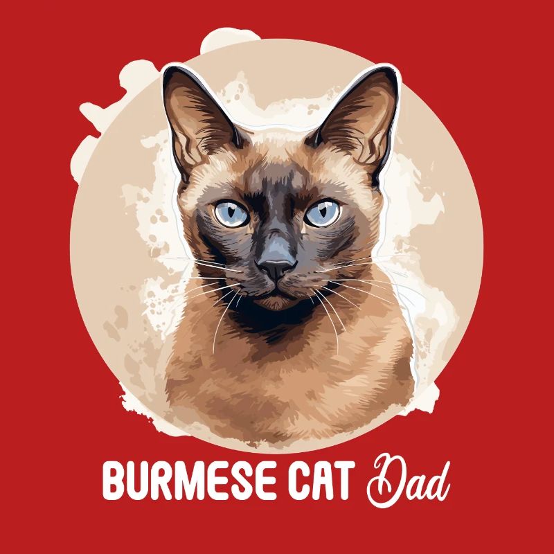 Chat birman Birmanie Katze