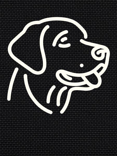 Labrador Retriever Face