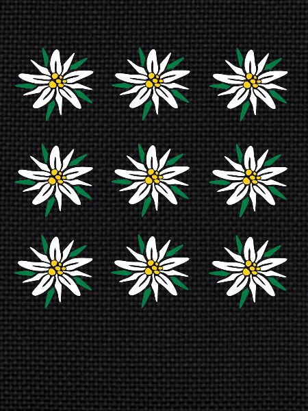 Edelweiss