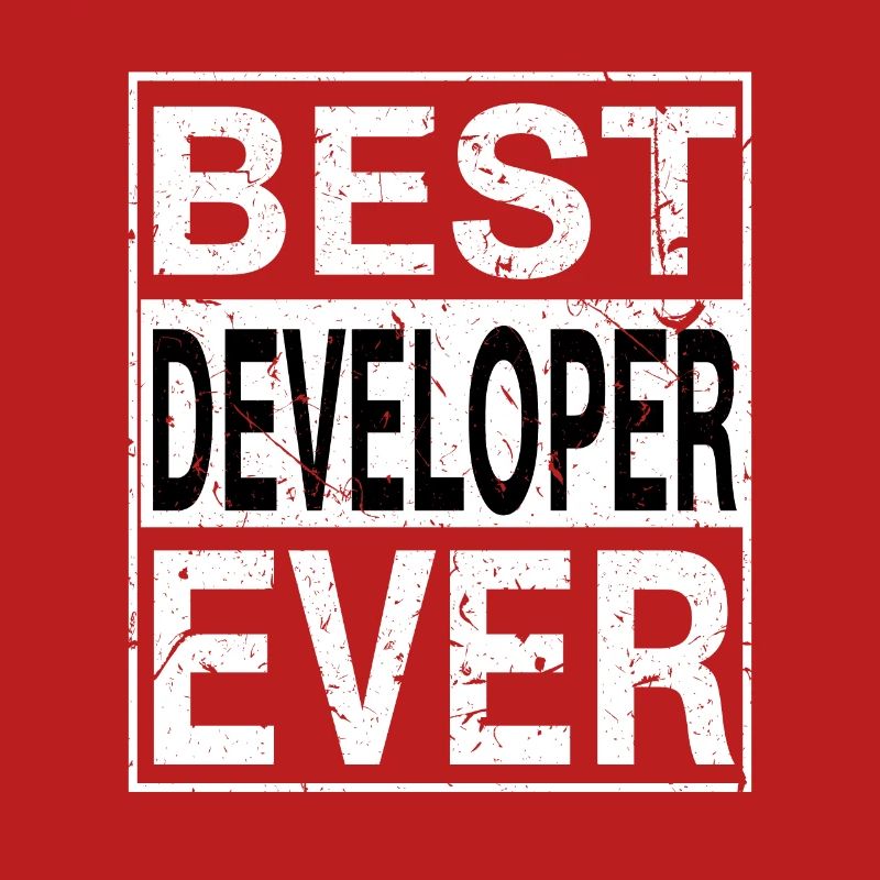 Best Developer Ever Developer Gift