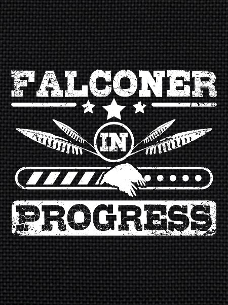 Future Falconer in progress