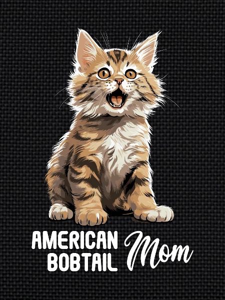 Chat Chats American Bobtail