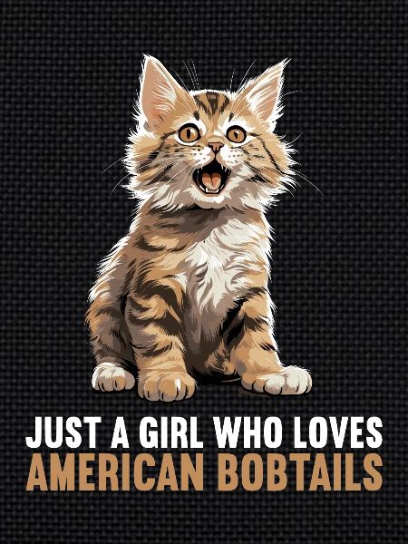 Chat Chats American Bobtail