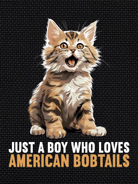 Chat Chats American Bobtail