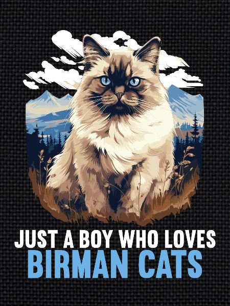 Birman Cat Birma Katze