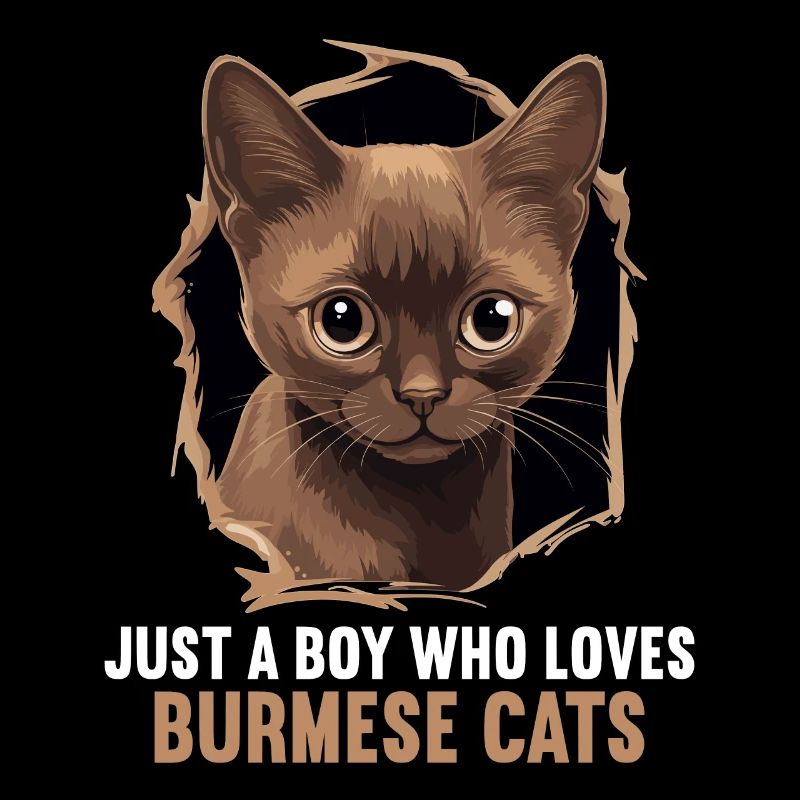 Chat birman Birmanie Katze