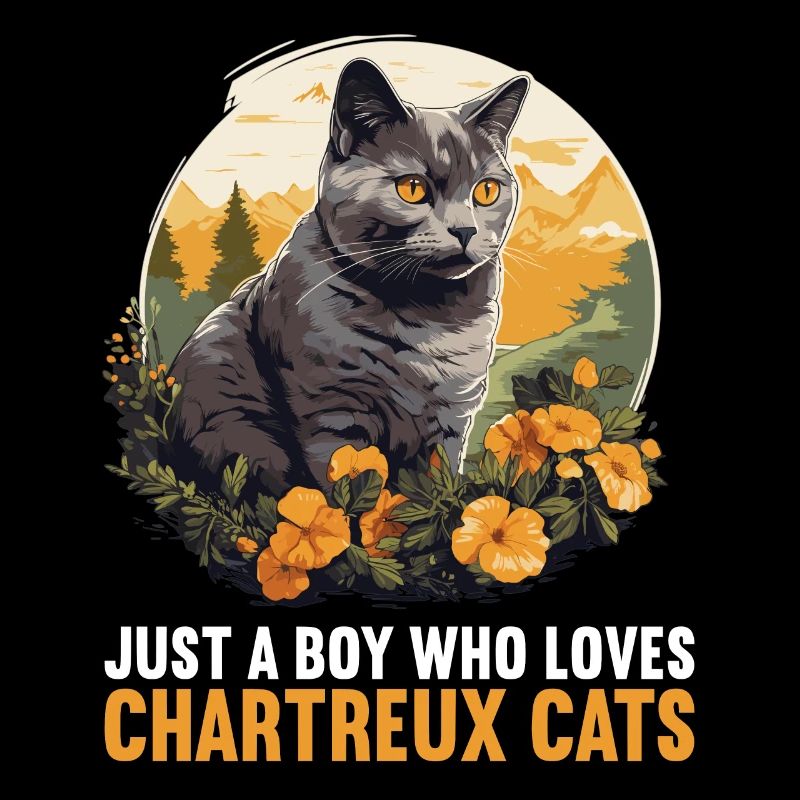 Chat Chartreux Chat Chartreux