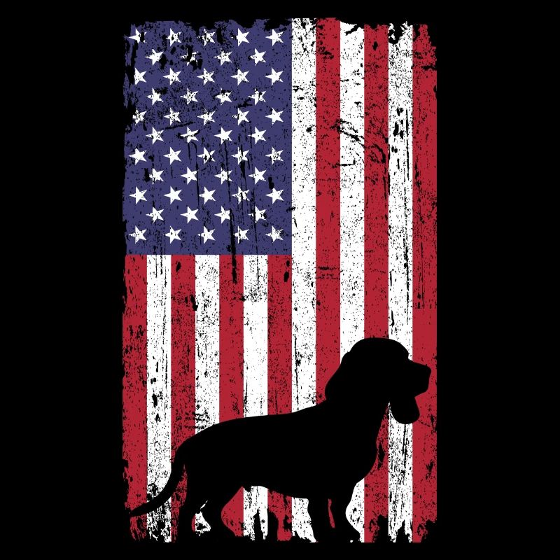 Beagle dog with USA flag