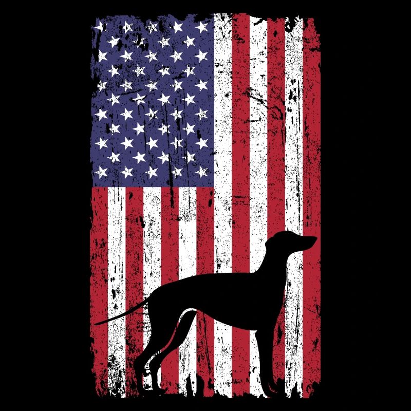 Chien lévrier avec drapeau des États-Unis