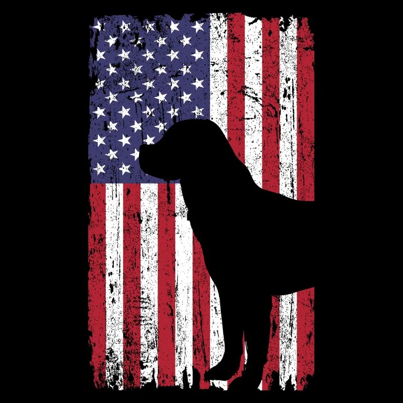 Rottweiler dog with USA flag
