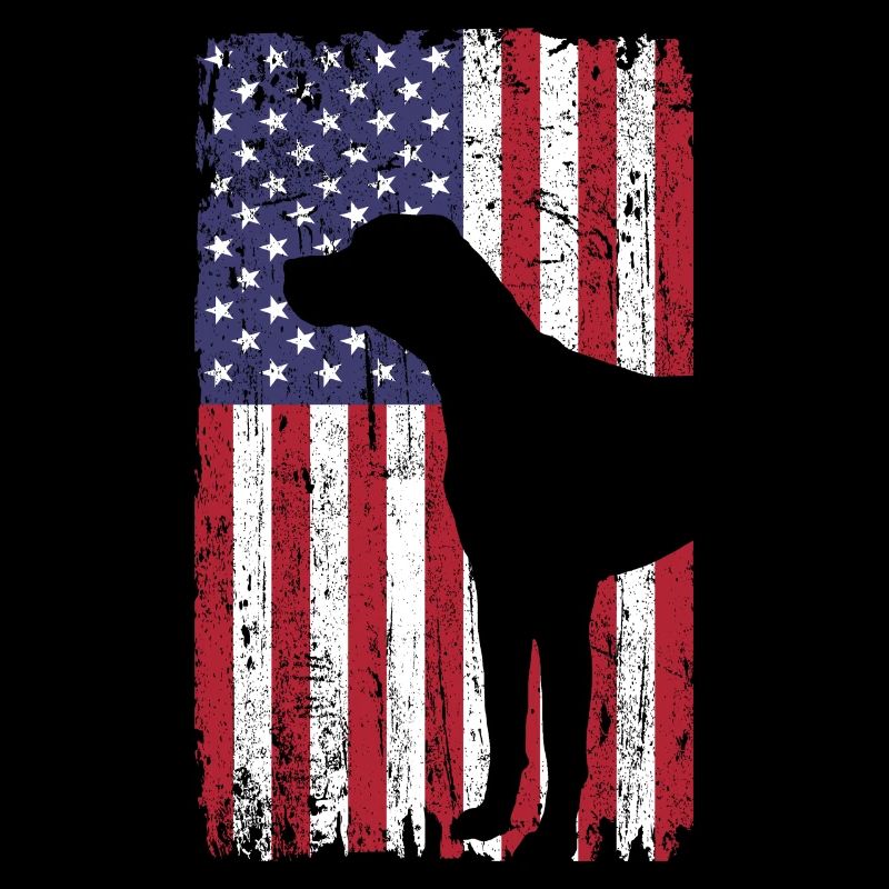 Short-haired pointing dog dog with USA flag