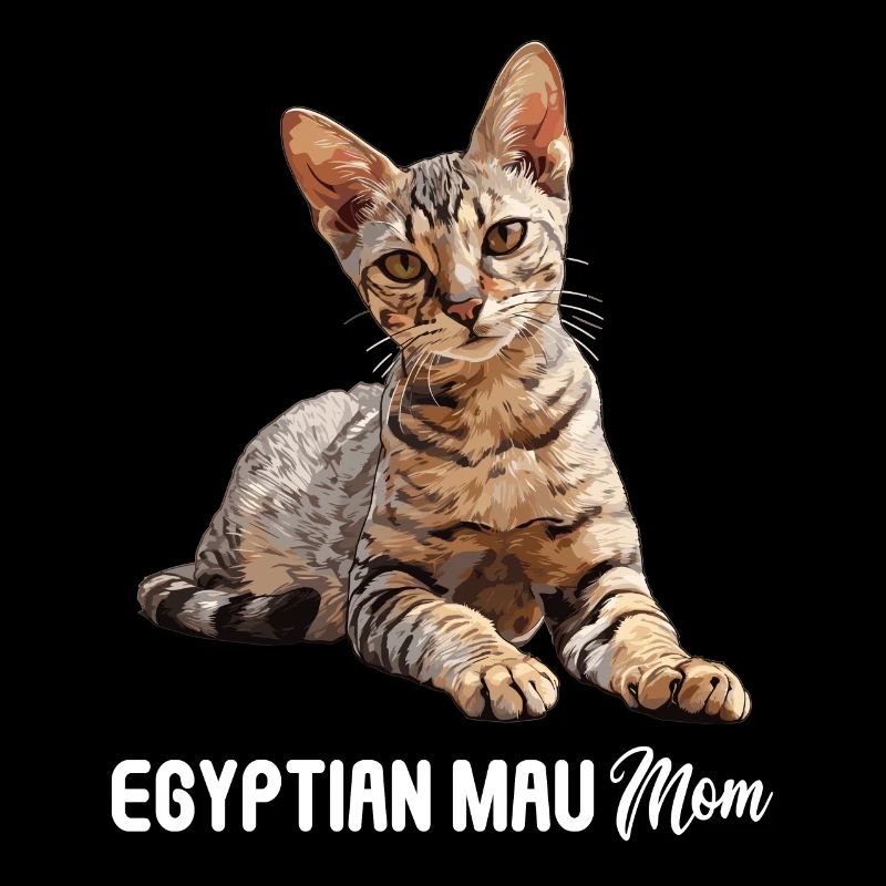 Egyptian Mau Kitten Cat Egyptian Mau