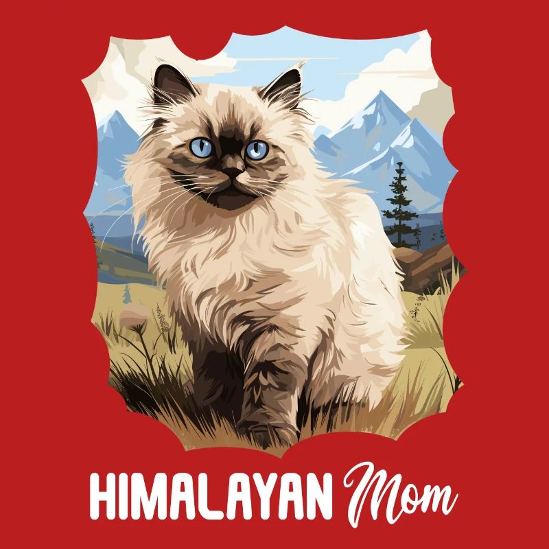 Himalayan Cat Colourpoint Katze