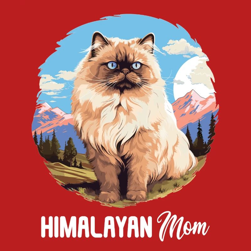 Himalayan Cat Colourpoint Katze