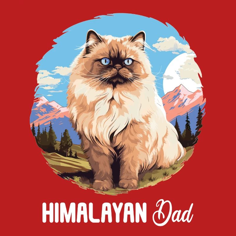 Himalayan Cat Colourpoint Katze