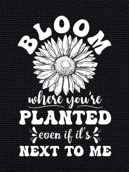 Bloom where you're planted