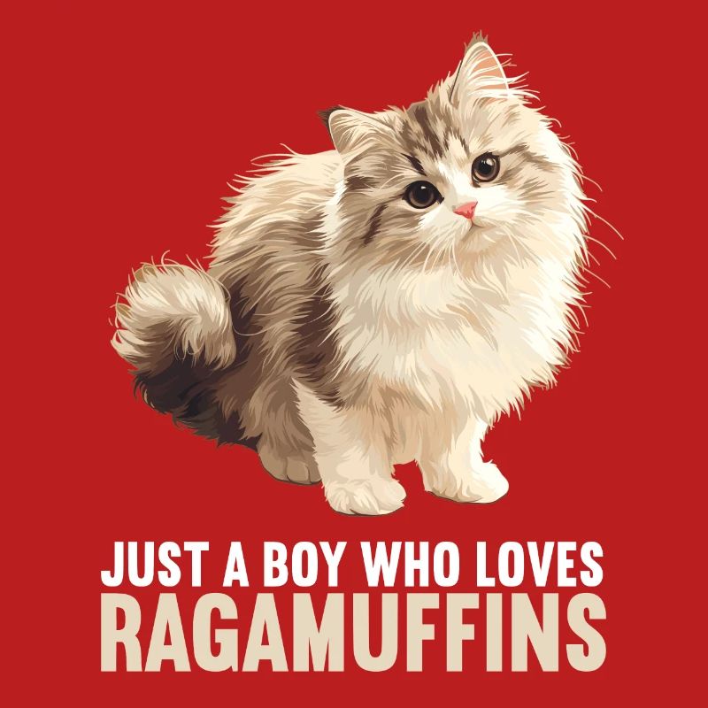 Ragamuffin Kätzchen Ragamuffin Katze