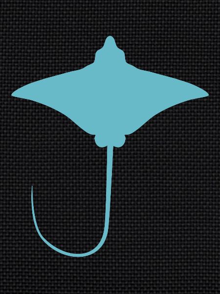 Ray – Flotteur élégant des mers