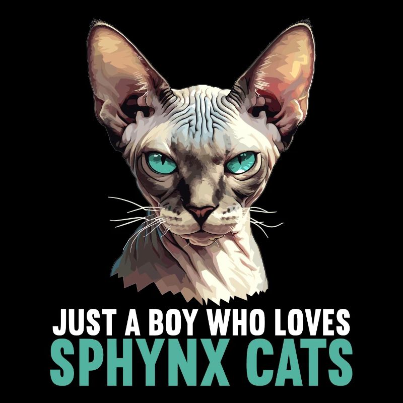 Chaton Sphynx Chat Sphynx