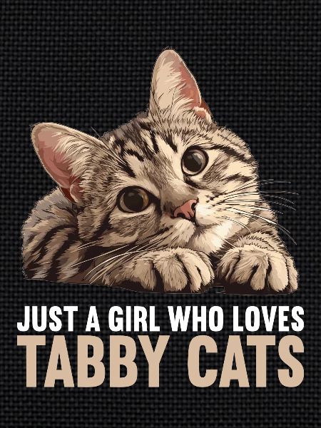 Tabby Kitten Tabby Cat