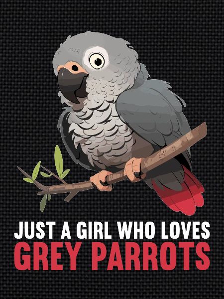 Perroquets gris d’Afrique