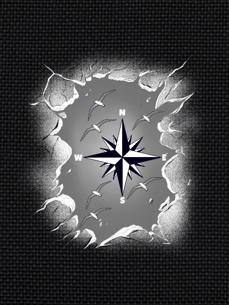 Seagulls Seagull Compass Maritime