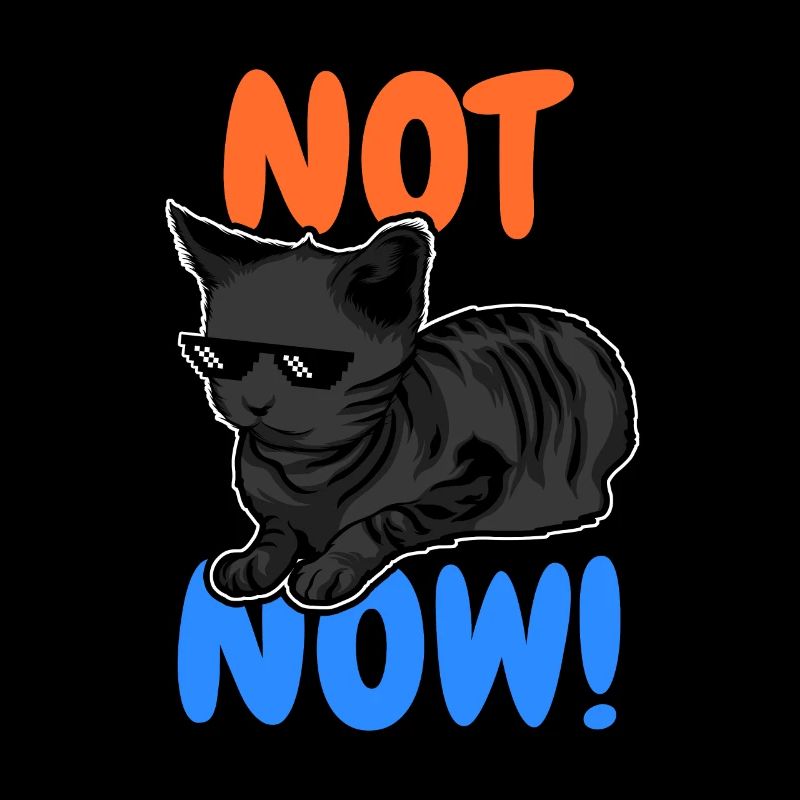 Drôle de chat