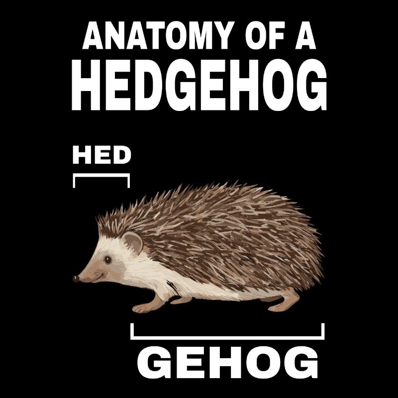 Anatomie eines Igels HED GEHOG Igel mit süßem