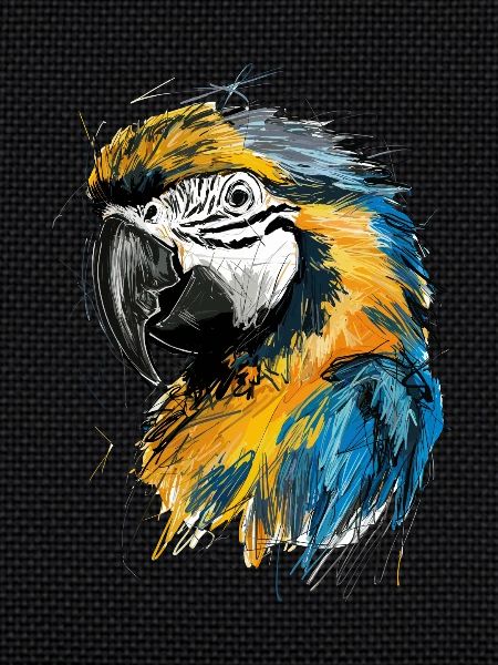 Parrots Art Drawing Abstract