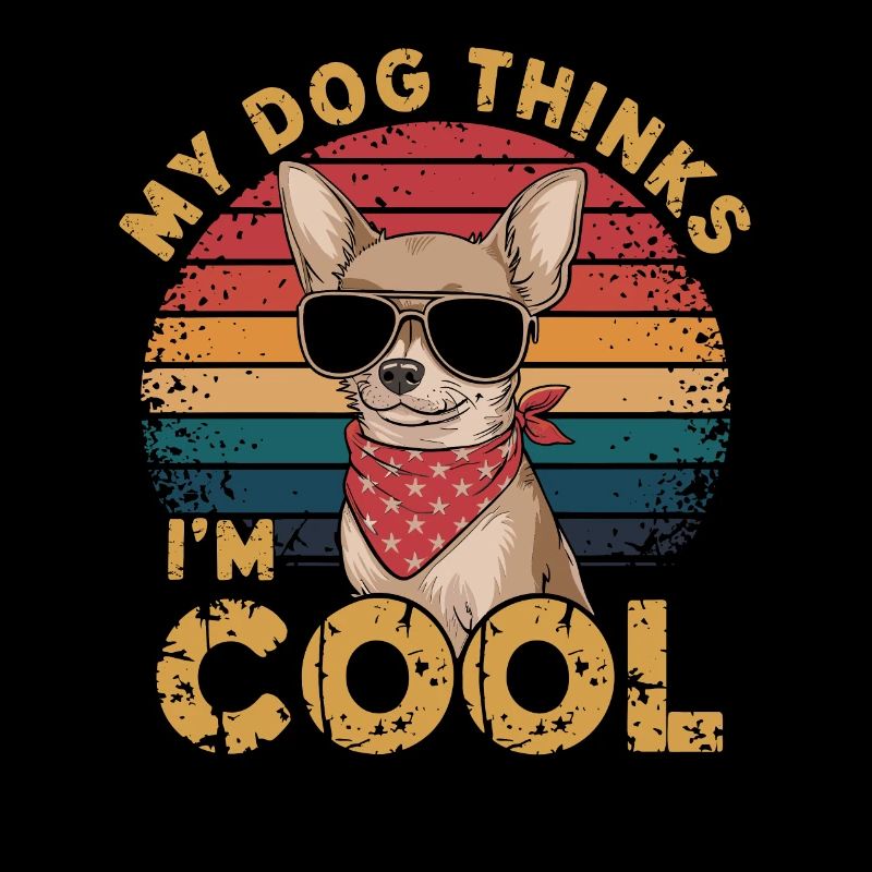 Chihuahua mon chien pense que je suis cool