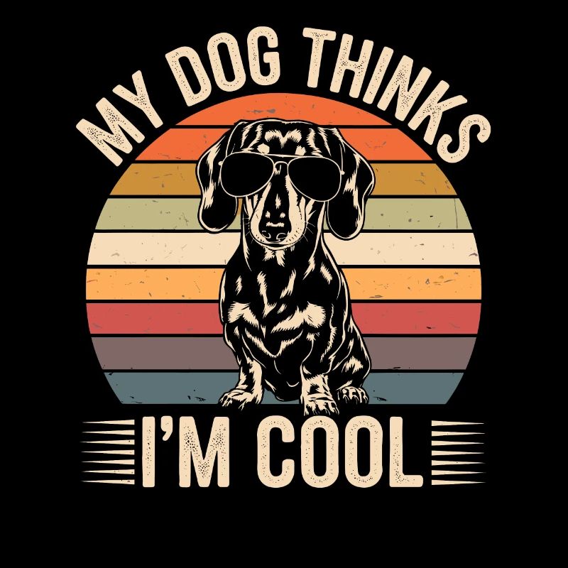 Teckel mon chien pense que je suis cool