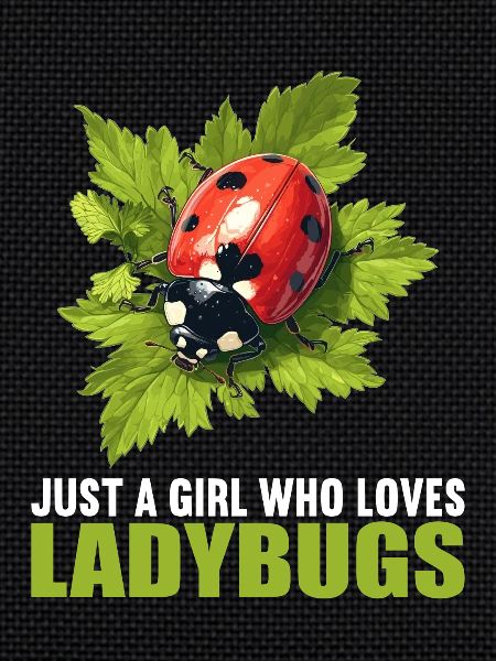 Ladybug Marienkäfer
